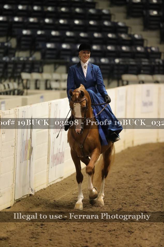 Proof 19BUCK_03298