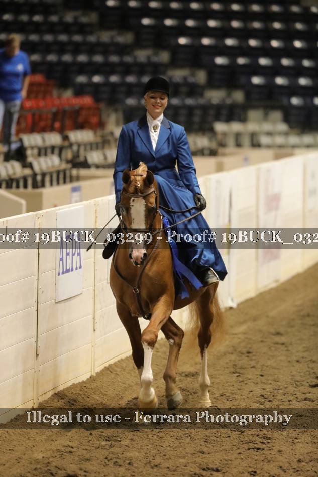 Proof 19BUCK_03299