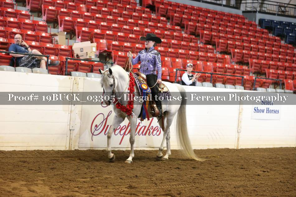 Proof 19BUCK_03305