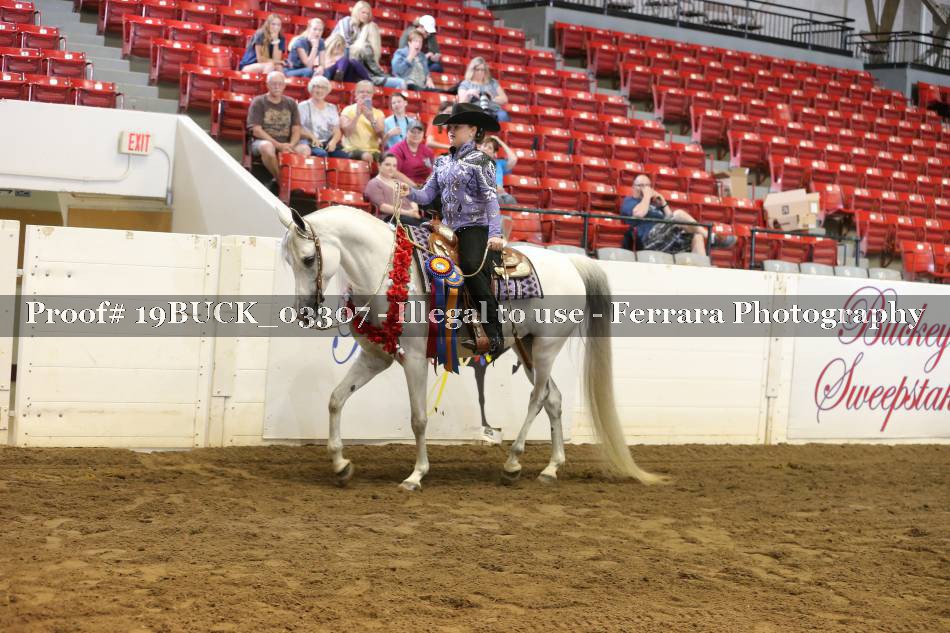 Proof 19BUCK_03307