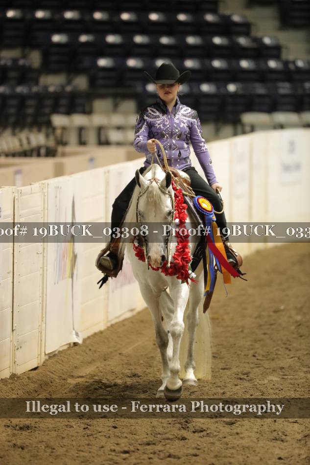 Proof 19BUCK_03308
