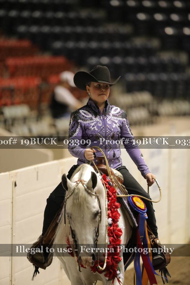 Proof 19BUCK_03309