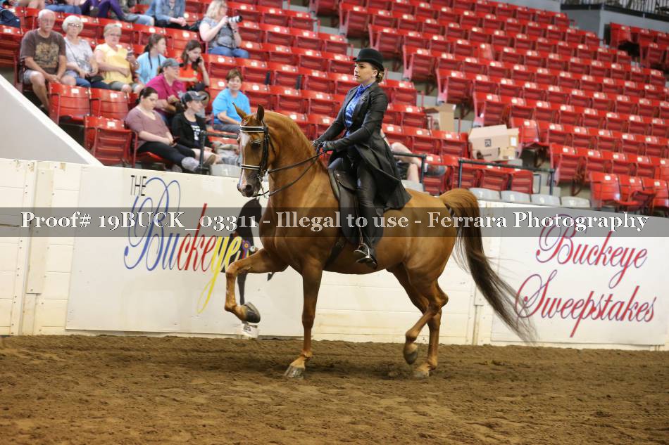 Proof 19BUCK_03311