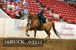 19BUCK_03311 proof