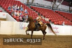 19BUCK_03312 proof