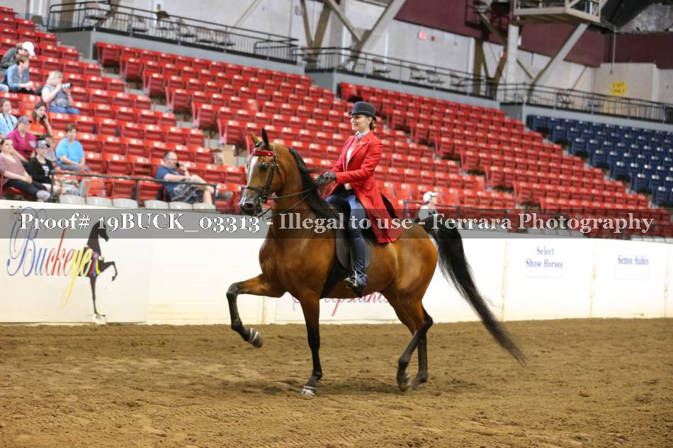 Proof 19BUCK_03313