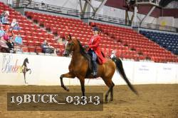19BUCK_03313 proof