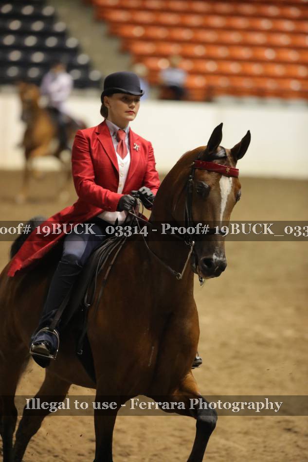 Proof 19BUCK_03314