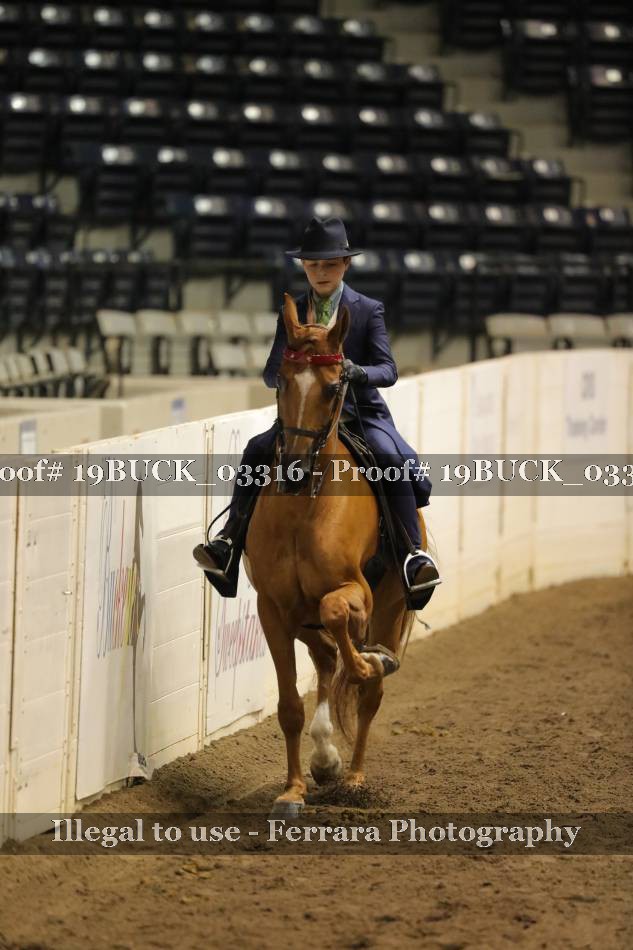 Proof 19BUCK_03316