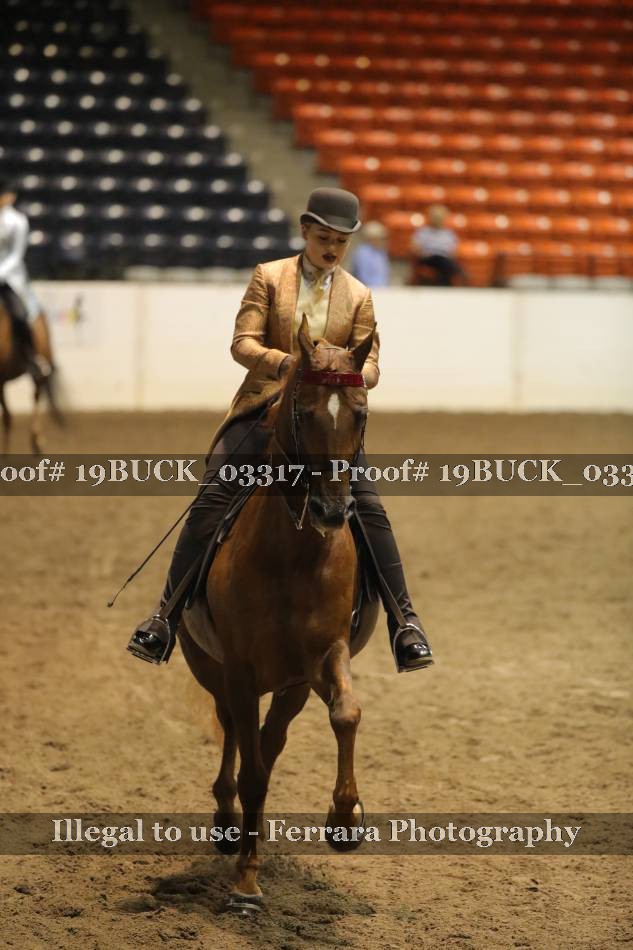 Proof 19BUCK_03317