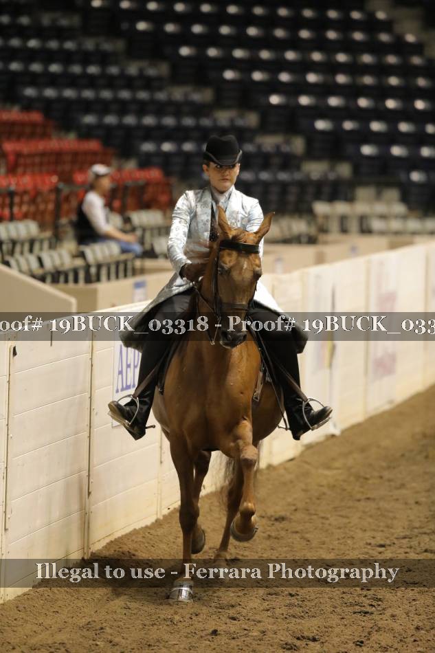 Proof 19BUCK_03318