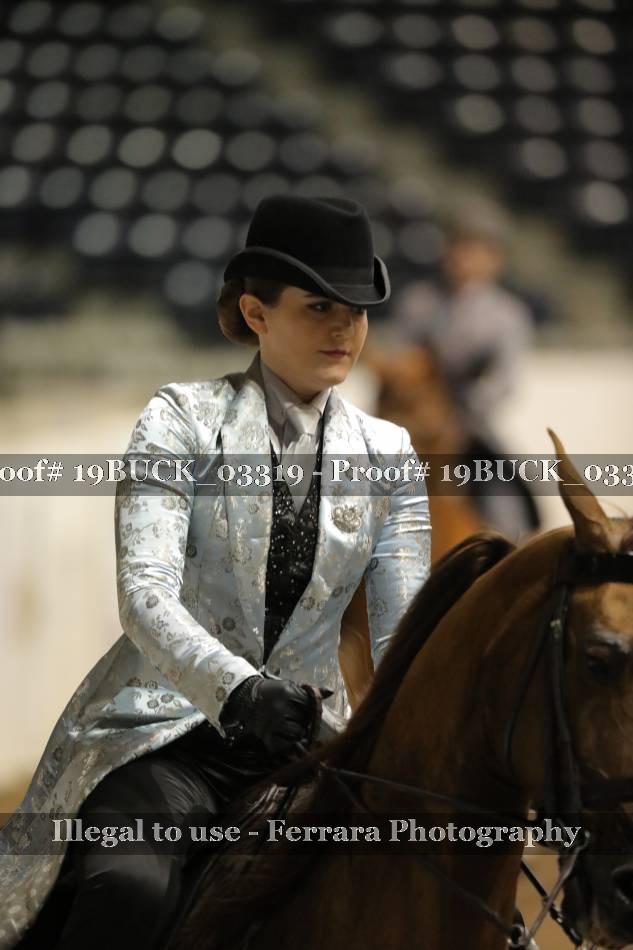 Proof 19BUCK_03319