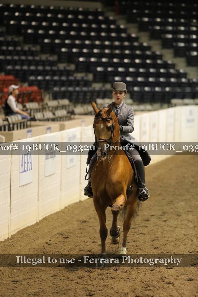 Proof 19BUCK_03320