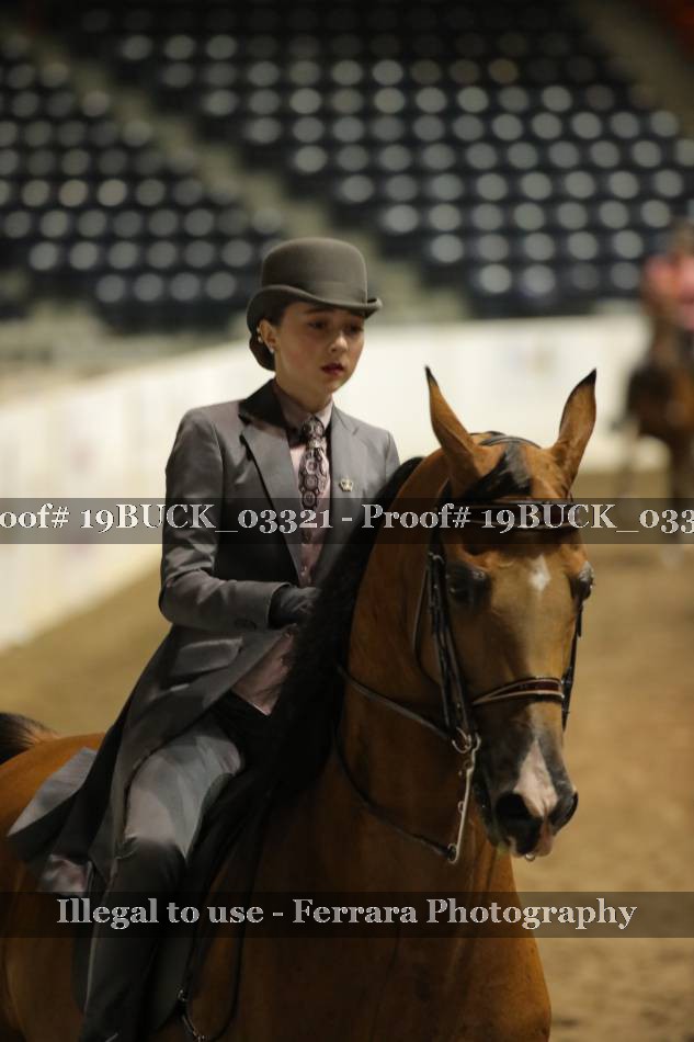 Proof 19BUCK_03321