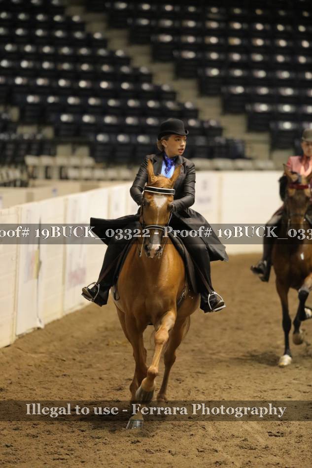 Proof 19BUCK_03322