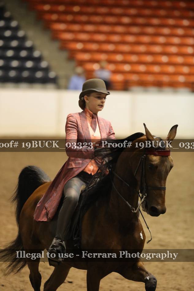Proof 19BUCK_03323