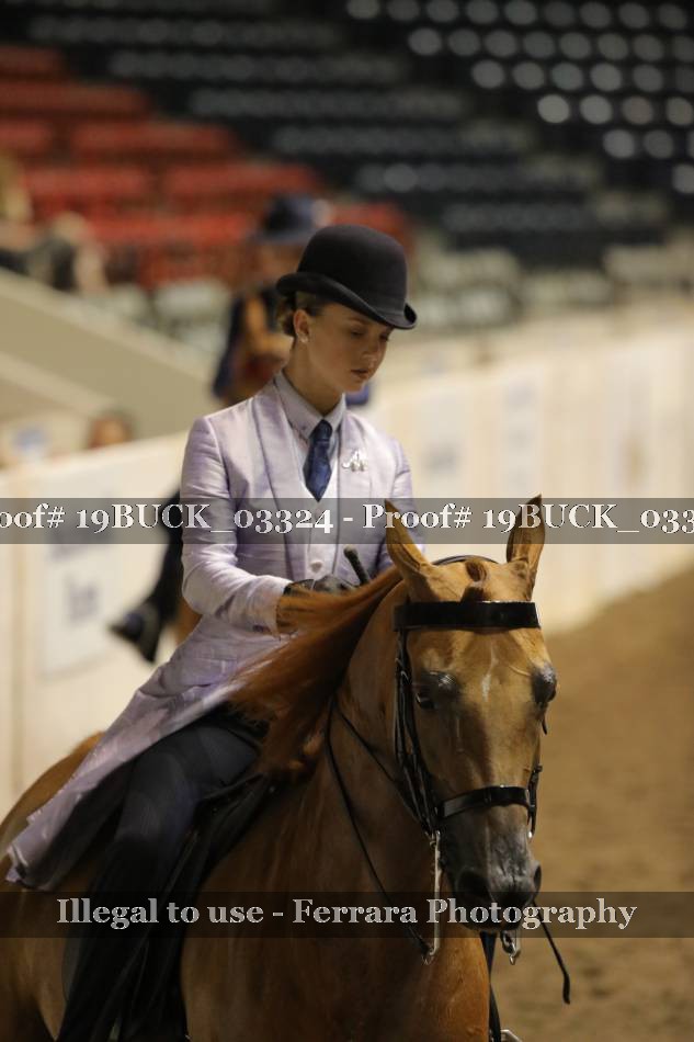 Proof 19BUCK_03324
