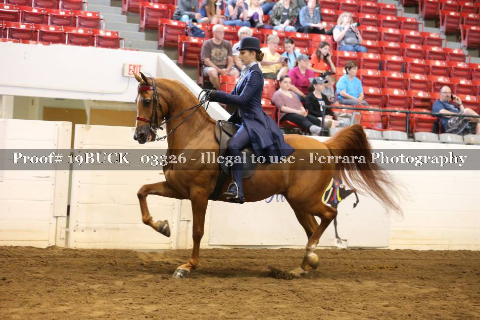 Proof 19BUCK_03326