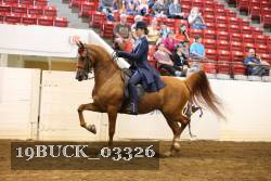 19BUCK_03326 proof