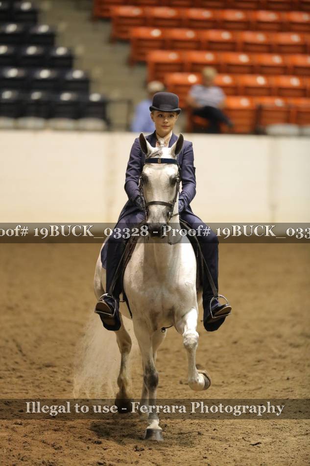 Proof 19BUCK_03328