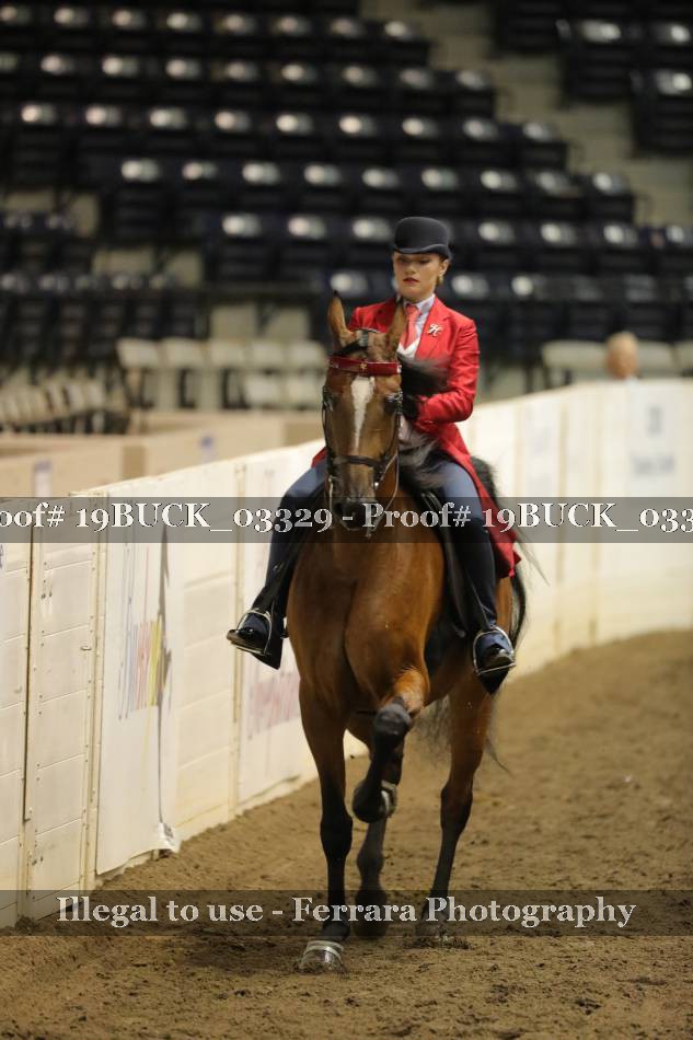 Proof 19BUCK_03329