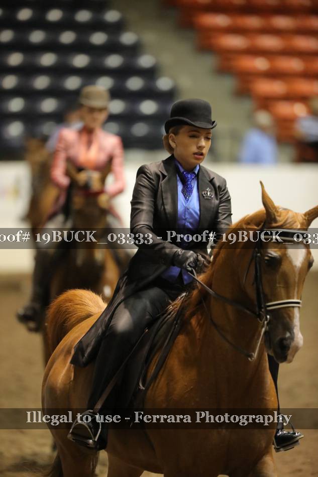 Proof 19BUCK_03333