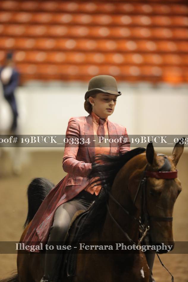 Proof 19BUCK_03334