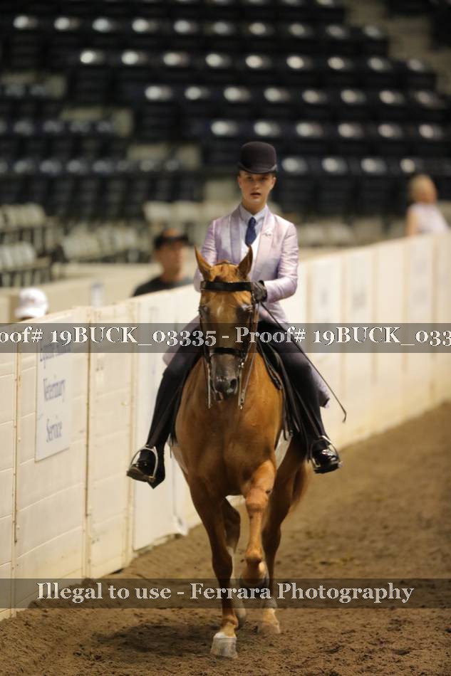 Proof 19BUCK_03335