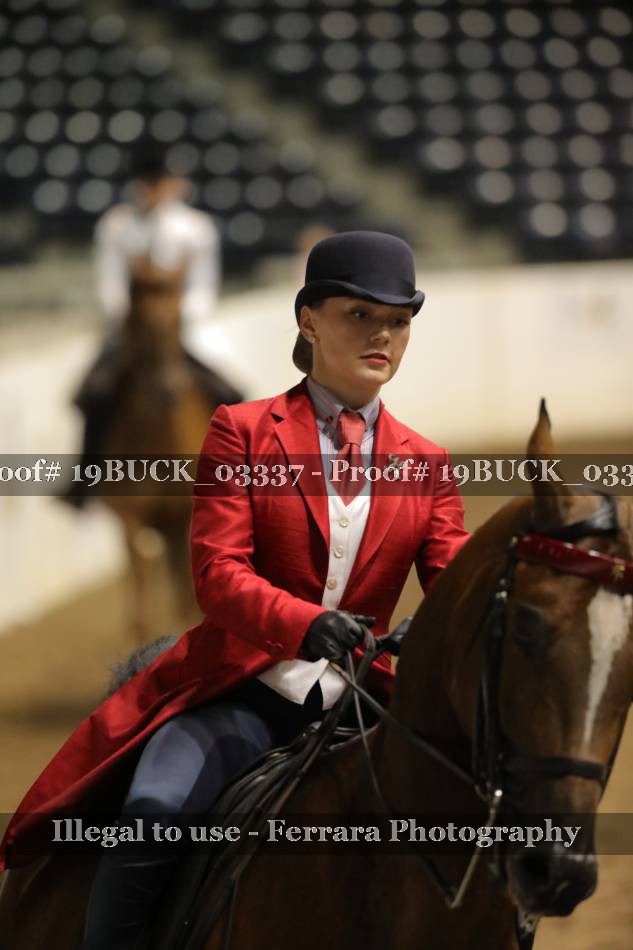 Proof 19BUCK_03337