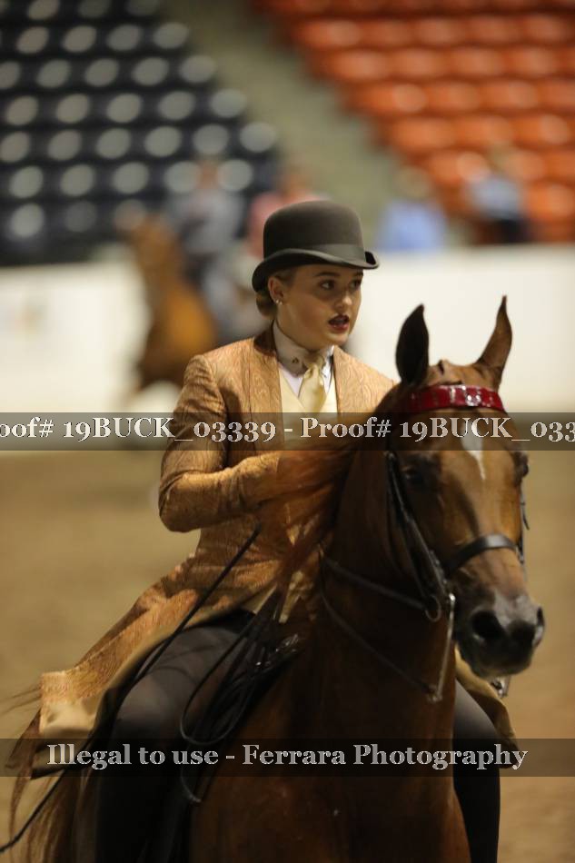 Proof 19BUCK_03339