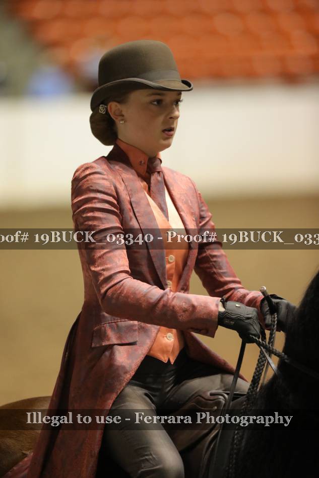 Proof 19BUCK_03340