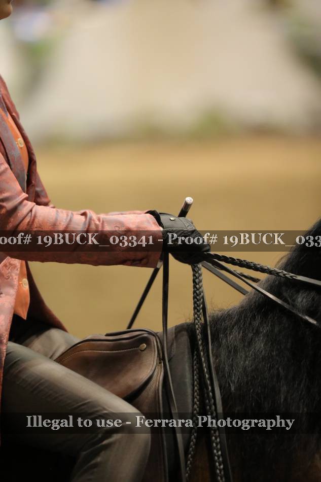 Proof 19BUCK_03341