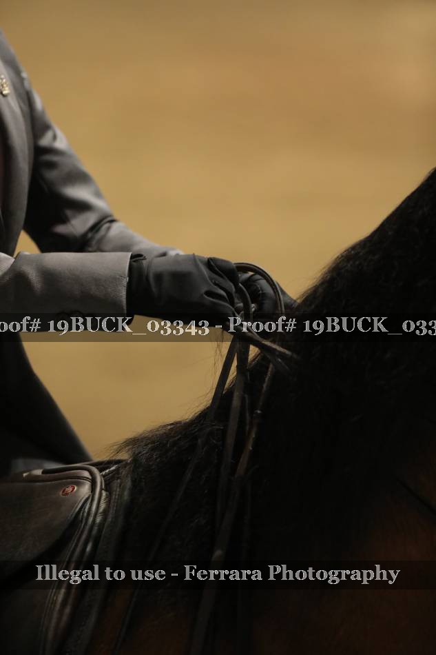 Proof 19BUCK_03343
