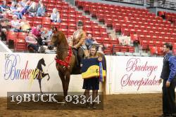 19BUCK_03344 proof