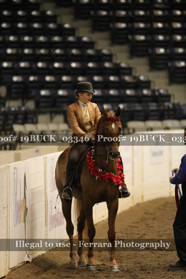 Proof 19BUCK_03346