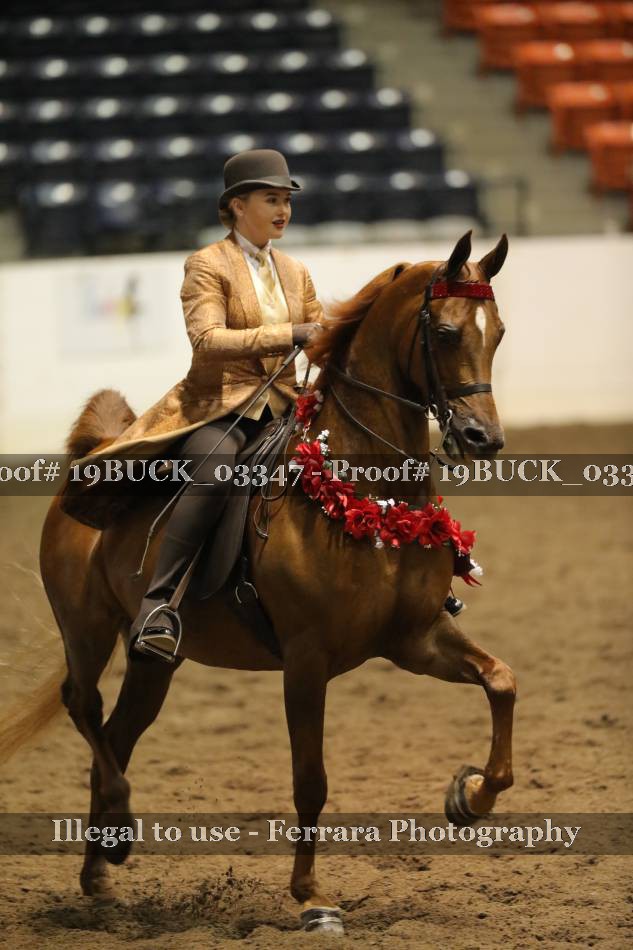 Proof 19BUCK_03347