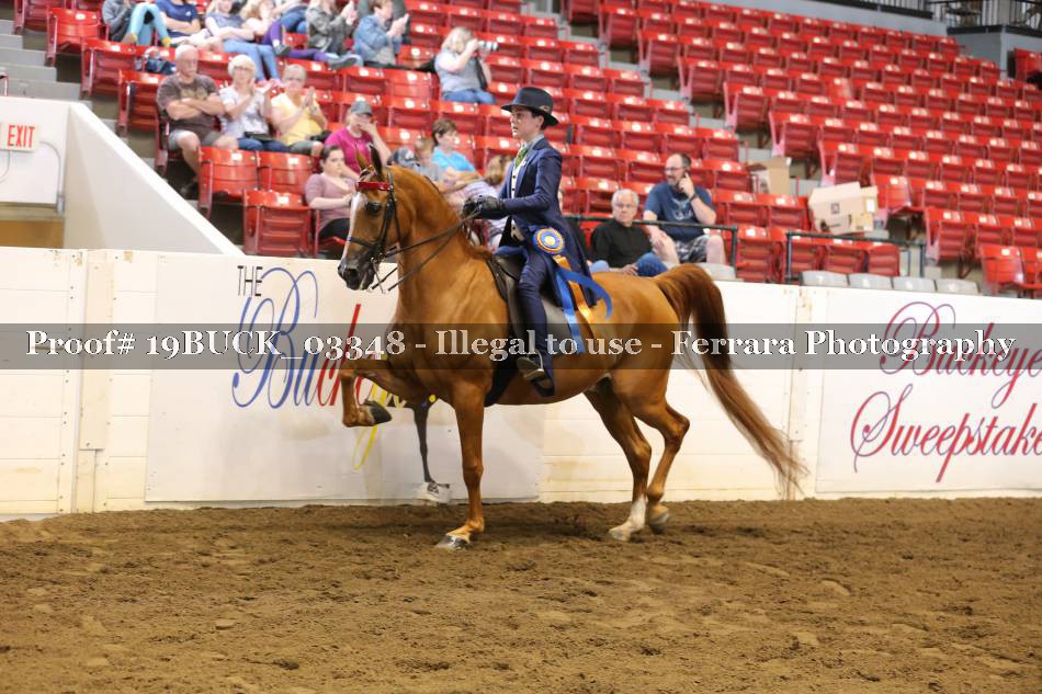Proof 19BUCK_03348