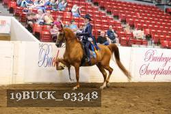 19BUCK_03348 proof