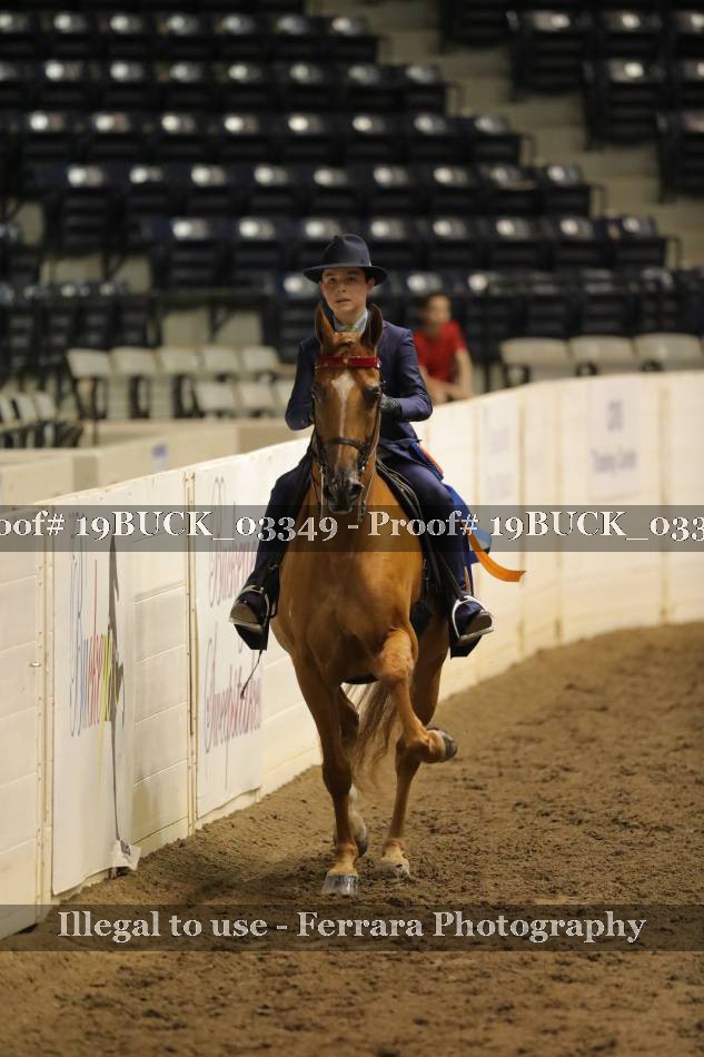 Proof 19BUCK_03349