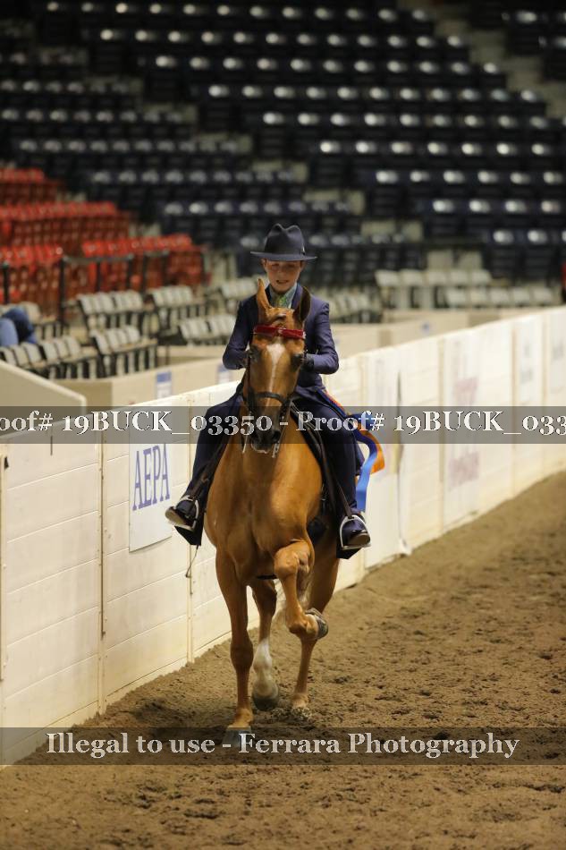 Proof 19BUCK_03350