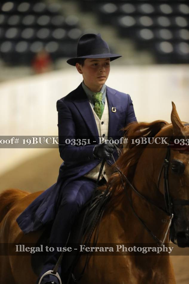 Proof 19BUCK_03351