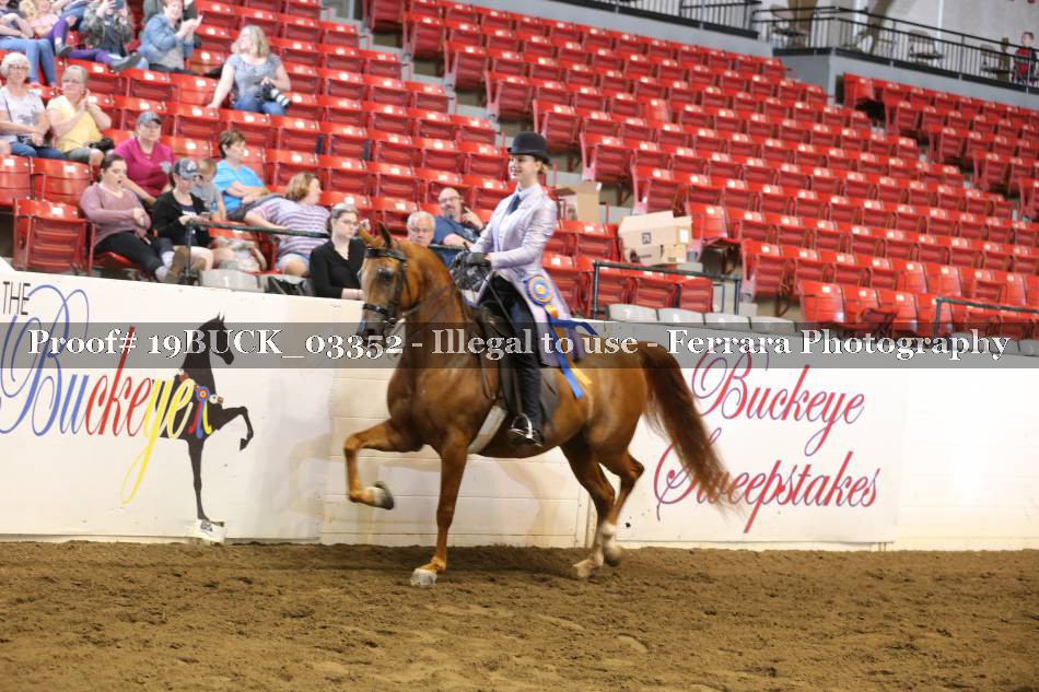Proof 19BUCK_03352