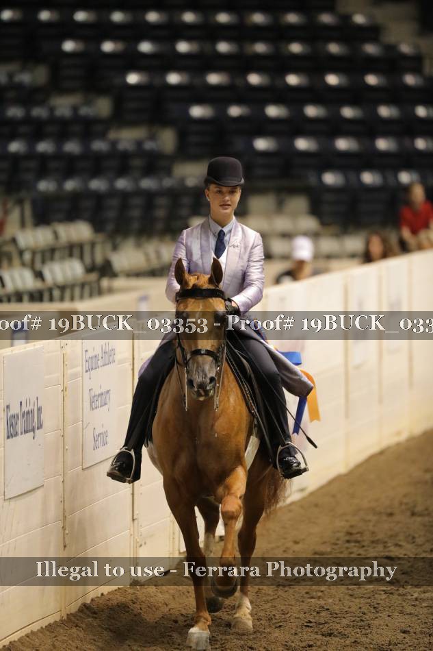 Proof 19BUCK_03353