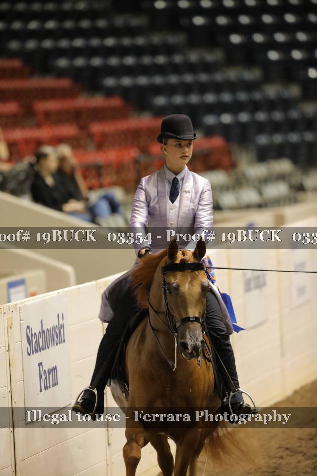 Proof 19BUCK_03354