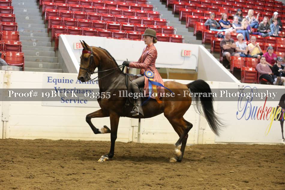Proof 19BUCK_03355