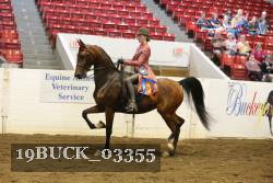 19BUCK_03355 proof