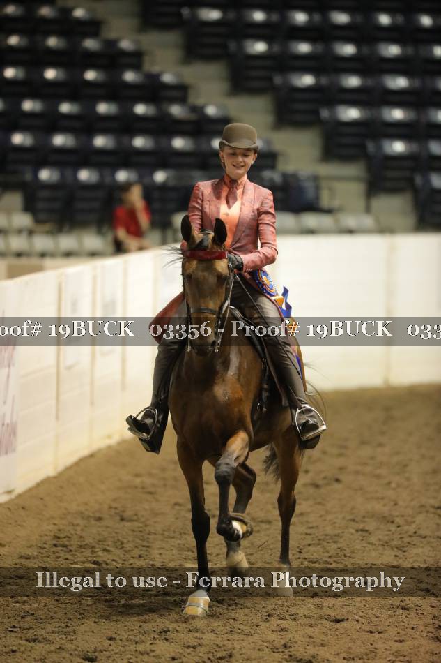 Proof 19BUCK_03356