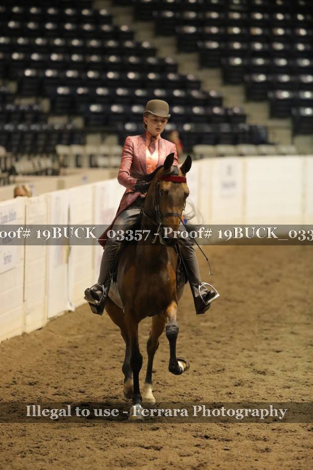 Proof 19BUCK_03357