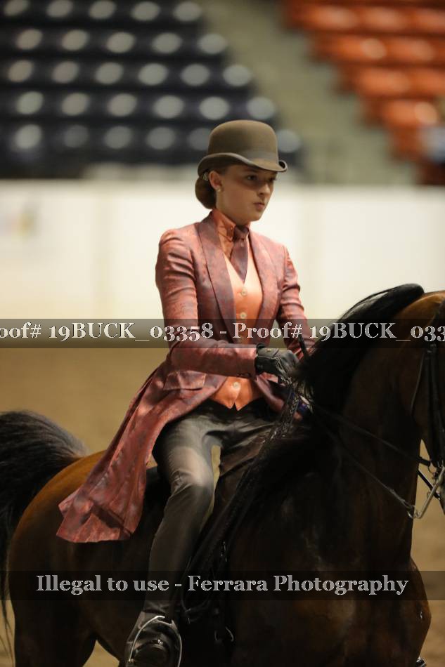 Proof 19BUCK_03358