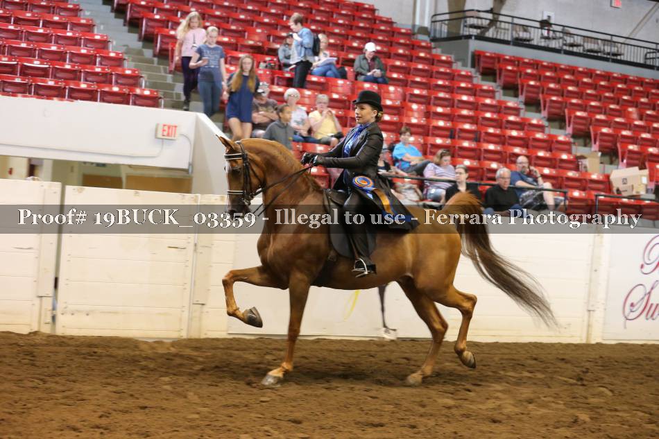 Proof 19BUCK_03359